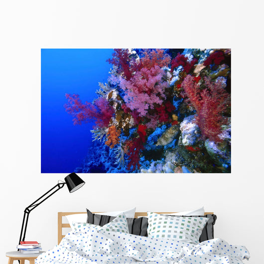Colorful Soft Coral Reefscape Wall Decal Design 4