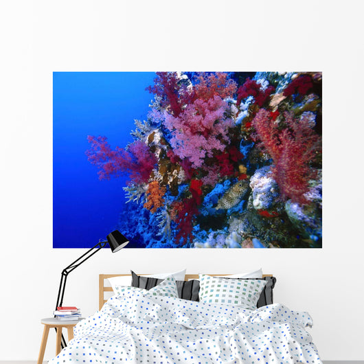 Colorful Soft Coral Reefscape Wall Decal Design 4