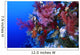 Colorful Soft Coral Reefscape Wall Decal Design 4