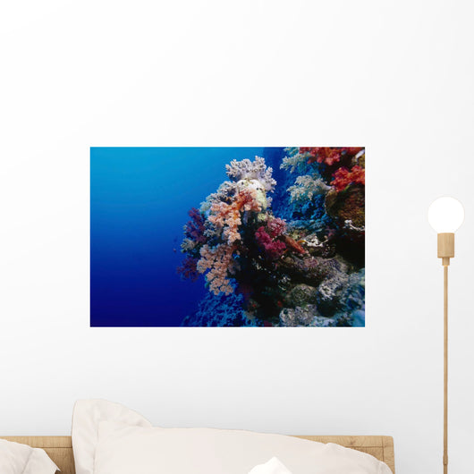 Colorful Soft Coral Reefscape Wall Decal Design 3