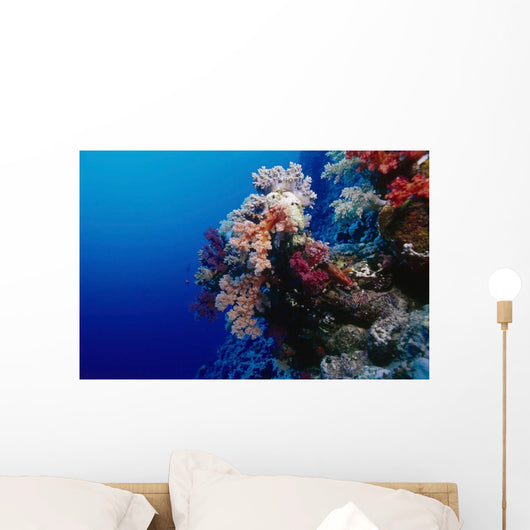 Colorful Soft Coral Reefscape Wall Decal Design 3
