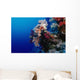 Colorful Soft Coral Reefscape Wall Decal Design 3