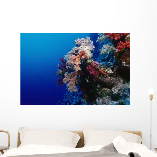 Colorful Soft Coral Reefscape Wall Decal Design 3