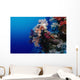 Colorful Soft Coral Reefscape Wall Decal Design 3