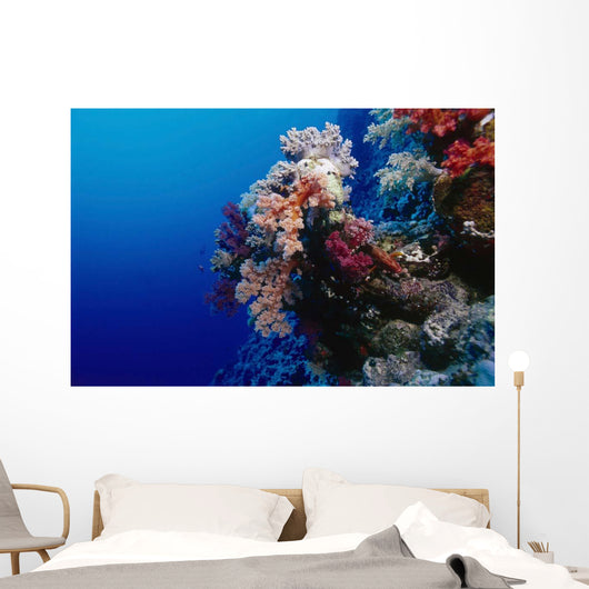 Colorful Soft Coral Reefscape Wall Decal Design 3