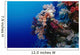 Colorful Soft Coral Reefscape Wall Decal Design 3