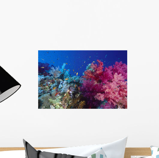 Colorful Soft Coral Reefscape Wall Decal Design 2
