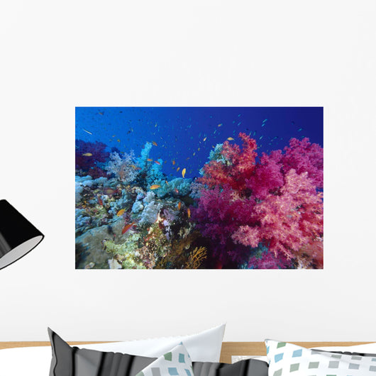 Colorful Soft Coral Reefscape Wall Decal Design 2
