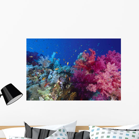 Colorful Soft Coral Reefscape Wall Decal Design 2