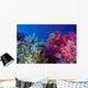 Colorful Soft Coral Reefscape Wall Decal Design 2