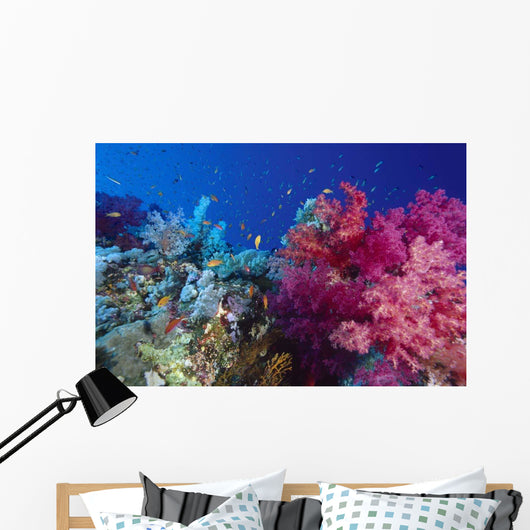 Colorful Soft Coral Reefscape Wall Decal Design 2