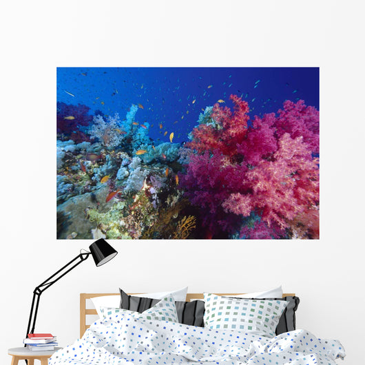 Colorful Soft Coral Reefscape Wall Decal Design 2