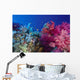 Colorful Soft Coral Reefscape Wall Decal Design 2