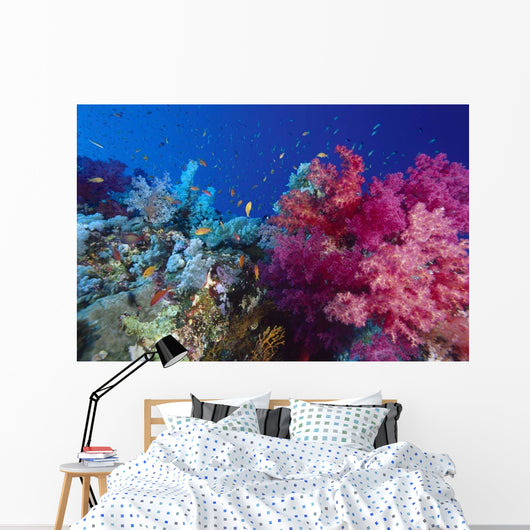 Colorful Soft Coral Reefscape Wall Decal Design 2