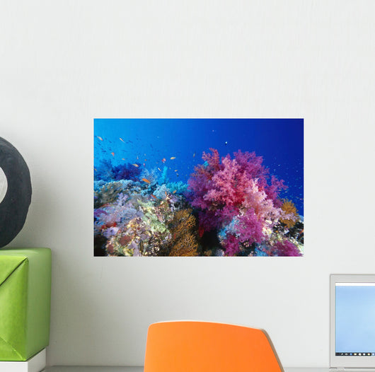 Colorful Soft Coral Reefscape Wall Decal Design 1