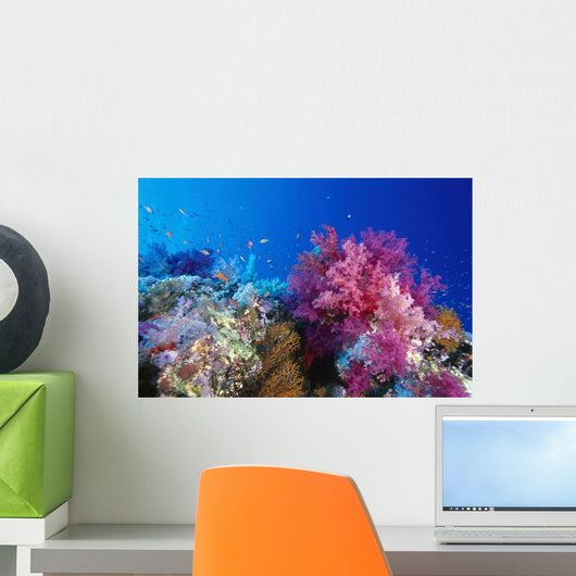 Colorful Soft Coral Reefscape Wall Decal Design 1