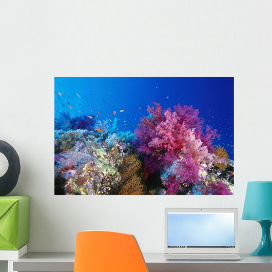 Colorful Soft Coral Reefscape Wall Decal Design 1