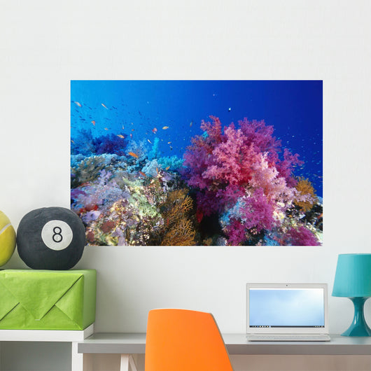 Colorful Soft Coral Reefscape Wall Decal Design 1
