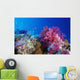 Colorful Soft Coral Reefscape Wall Decal Design 1