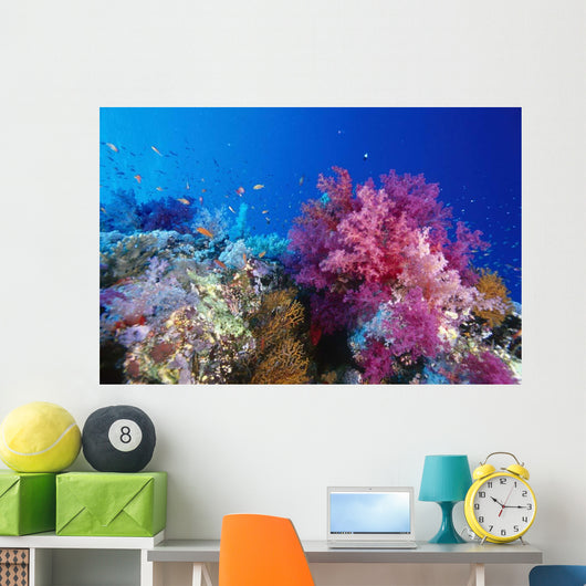 Colorful Soft Coral Reefscape Wall Decal Design 1