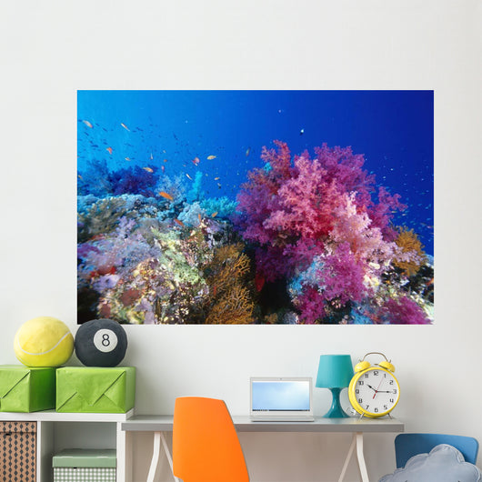 Colorful Soft Coral Reefscape Wall Decal Design 1