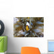 Red Sea Anemonefish Amphiprion Wall Decal