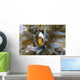 Red Sea Anemonefish Amphiprion Wall Decal