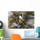 Red Sea Anemonefish Amphiprion Wall Decal