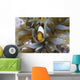 Red Sea Anemonefish Amphiprion Wall Decal