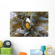 Red Sea Anemonefish Amphiprion Wall Decal