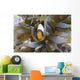 Red Sea Anemonefish Amphiprion Wall Decal