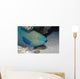Parrotfish Portrait Red Sea Wall Decal