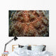 Fire Urchin Asthenosoma Marisrubri Wall Decal