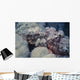 Two Flathead Scorpionfish Scorpaenopsis Wall Decal