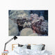 Two Flathead Scorpionfish Scorpaenopsis Wall Decal