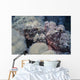Two Flathead Scorpionfish Scorpaenopsis Wall Decal