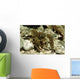 Stone Crayfish Kalkapen National Wall Decal Design 2