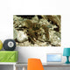 Stone Crayfish Kalkapen National Wall Decal Design 2