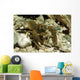 Stone Crayfish Kalkapen National Wall Decal Design 2