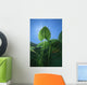 Yellow Water-lily Nuphar Lutea Wall Decal