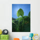 Yellow Water-lily Nuphar Lutea Wall Decal