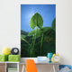 Yellow Water-lily Nuphar Lutea Wall Decal