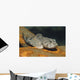 European Bullhead Cottus Gobio Wall Decal