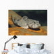 European Bullhead Cottus Gobio Wall Decal