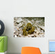 Stone Crayfish Kalkapen National Wall Decal Design 1
