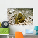 Stone Crayfish Kalkapen National Wall Decal Design 1
