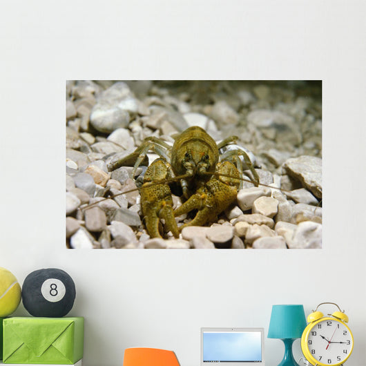 Stone Crayfish Kalkapen National Wall Decal Design 1