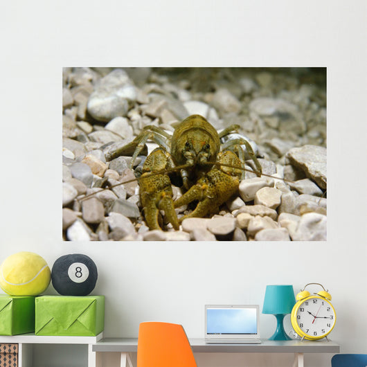 Stone Crayfish Kalkapen National Wall Decal Design 1