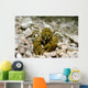 Stone Crayfish Kalkapen National Wall Decal Design 1