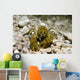 Stone Crayfish Kalkapen National Wall Decal Design 1